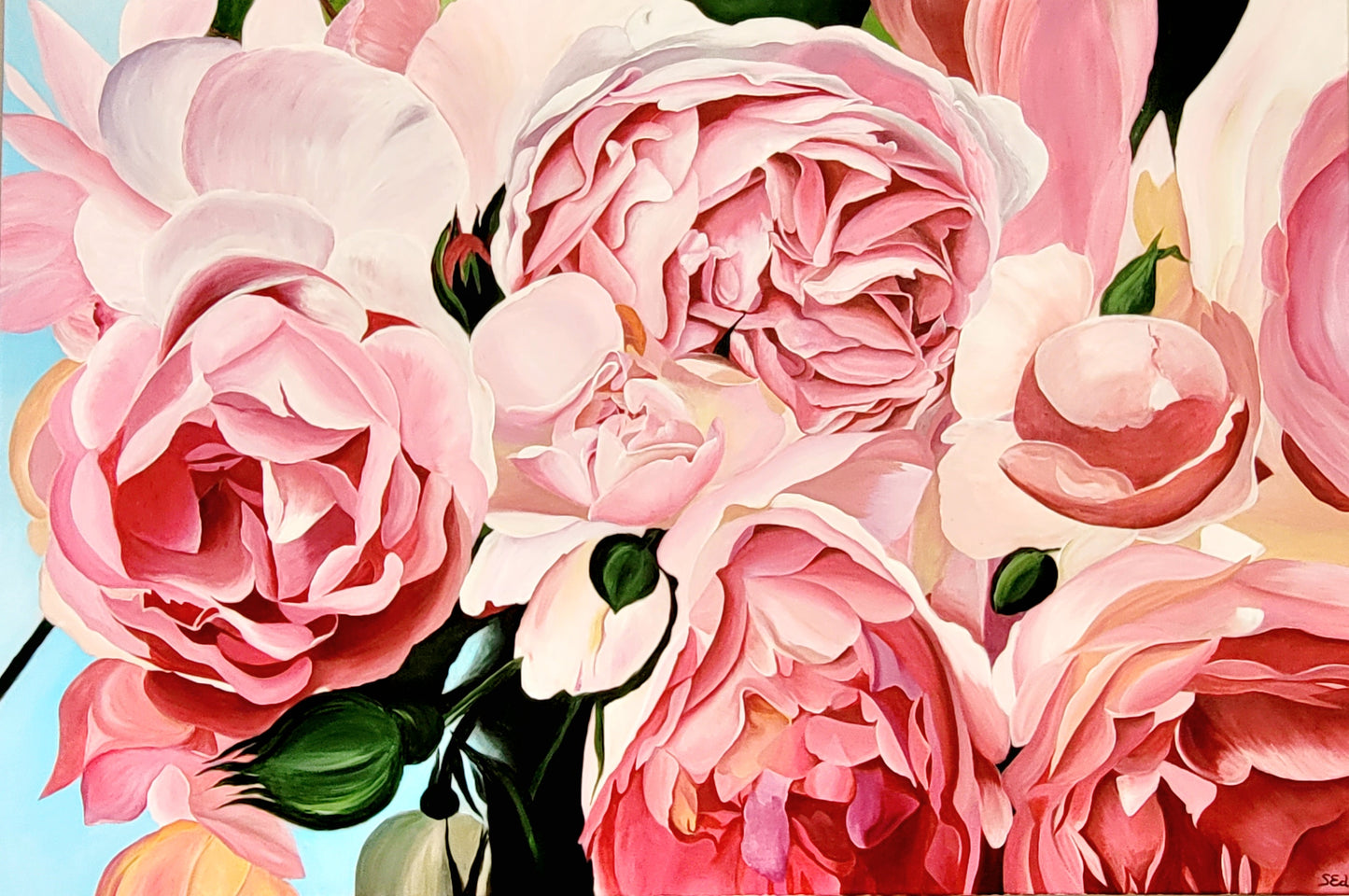 Climbing rose abundance, 80x120 cm