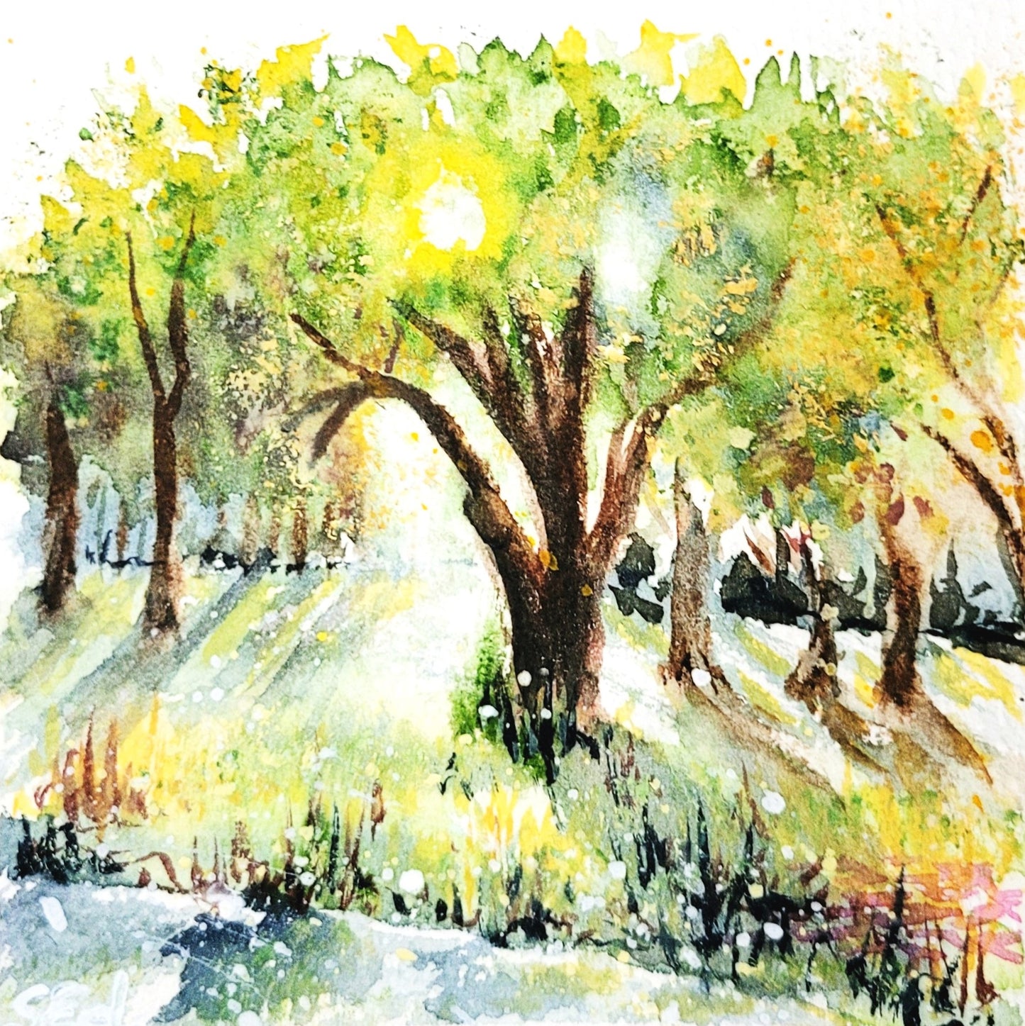 SWatercolor Sun in the trees, 12x12cm