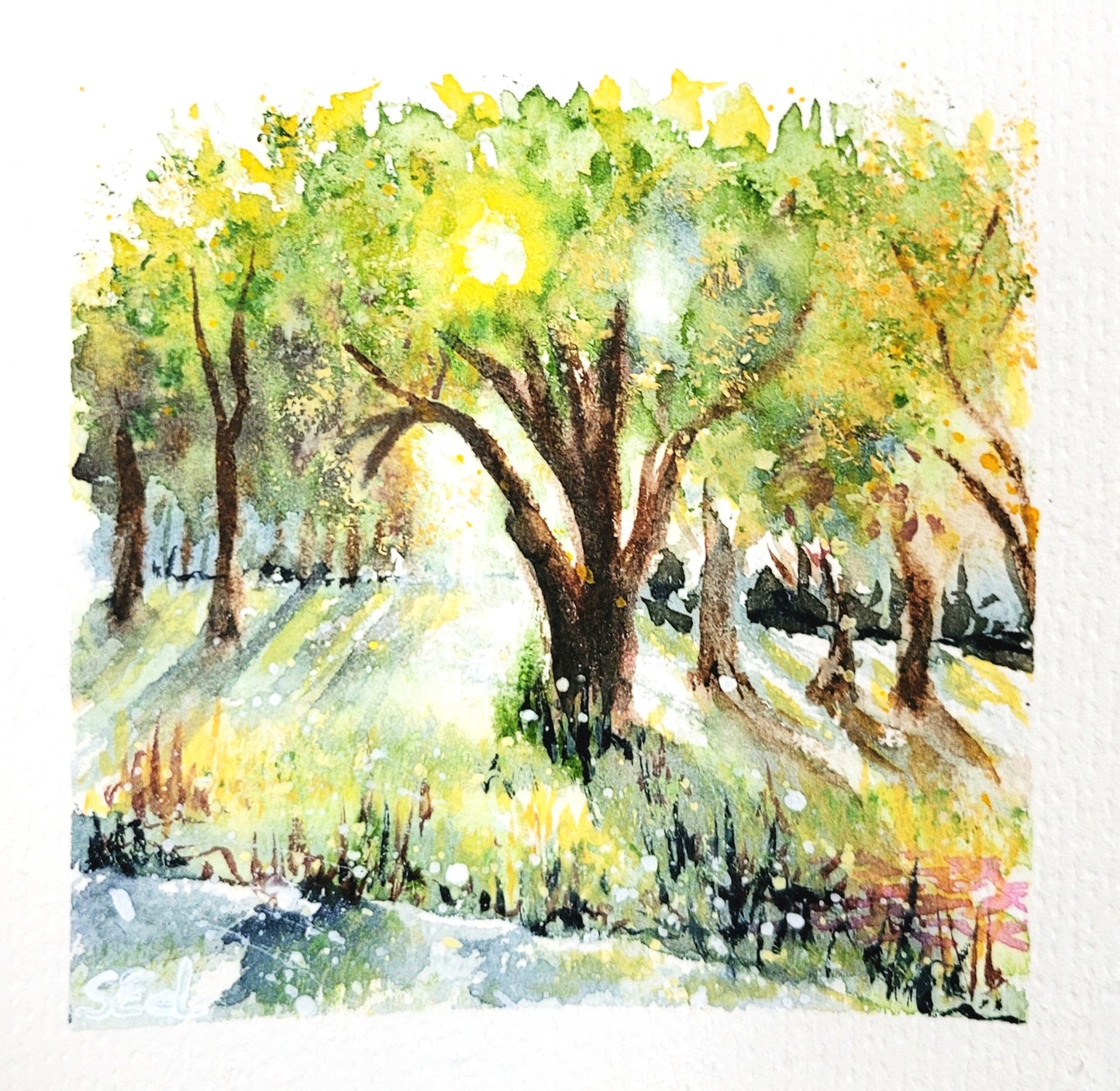 SWatercolor Sun in the trees, 12x12cm