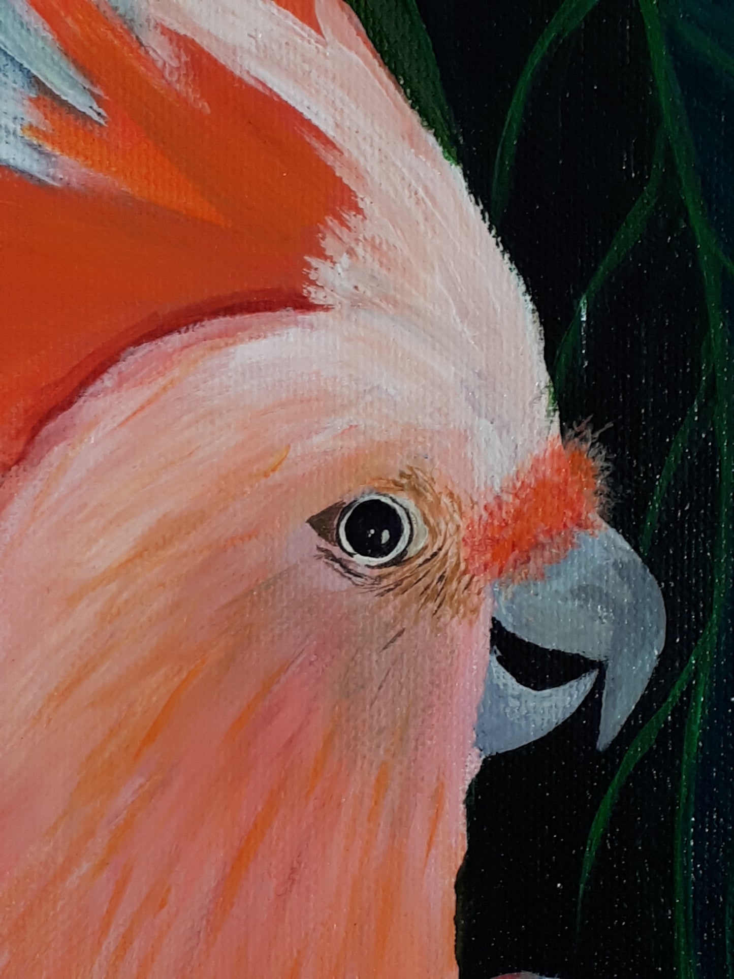 Jungle kakatoo, 60x40cm