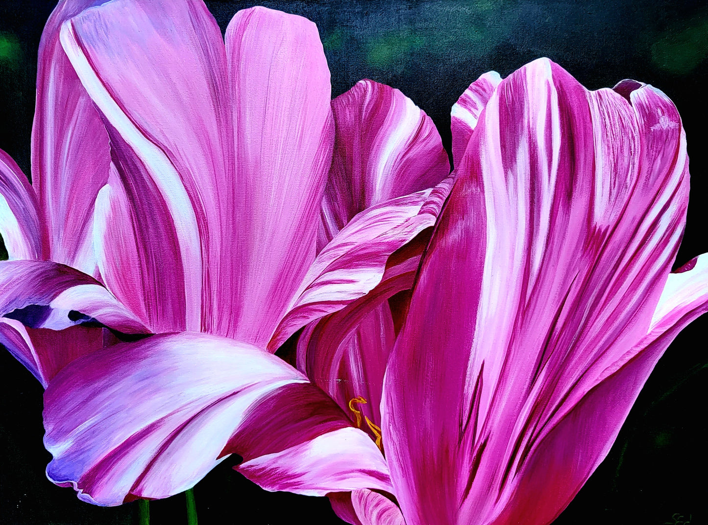 Tulipanes borrachos, 60x80 cm