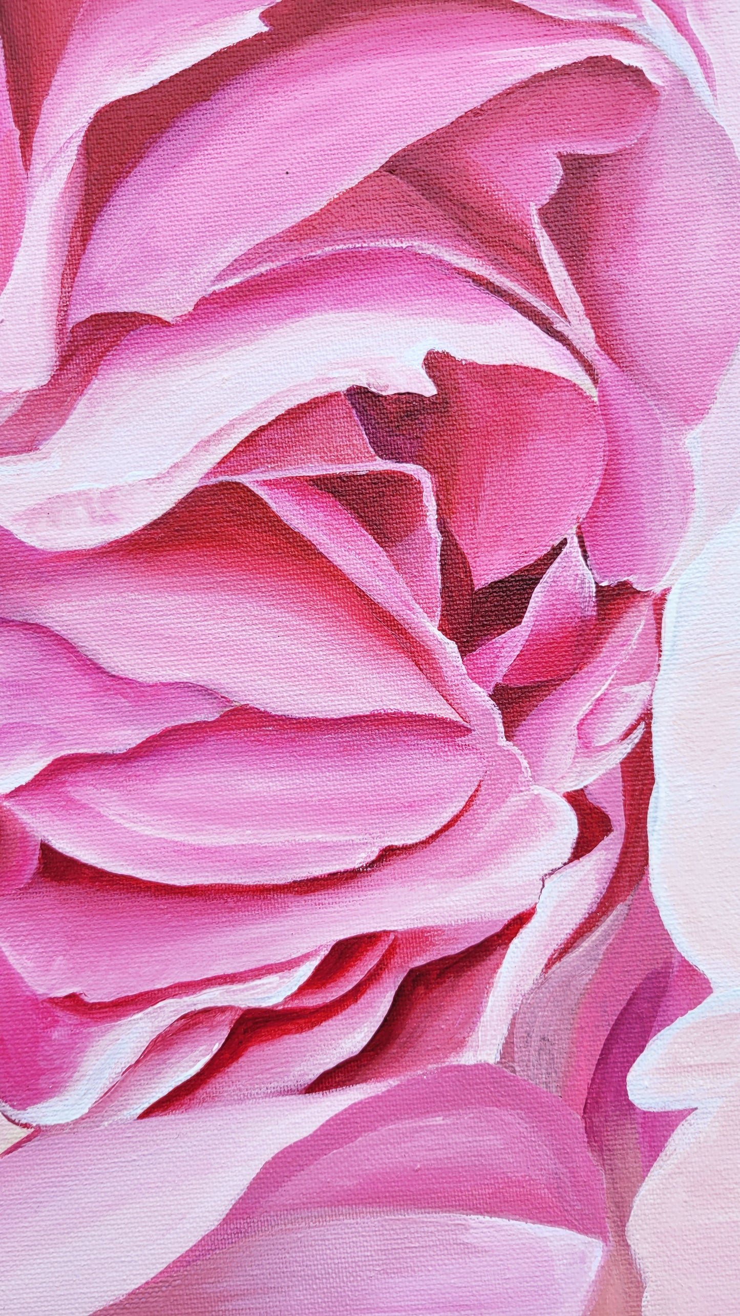 Climbing rose abundance, 80x120 cm