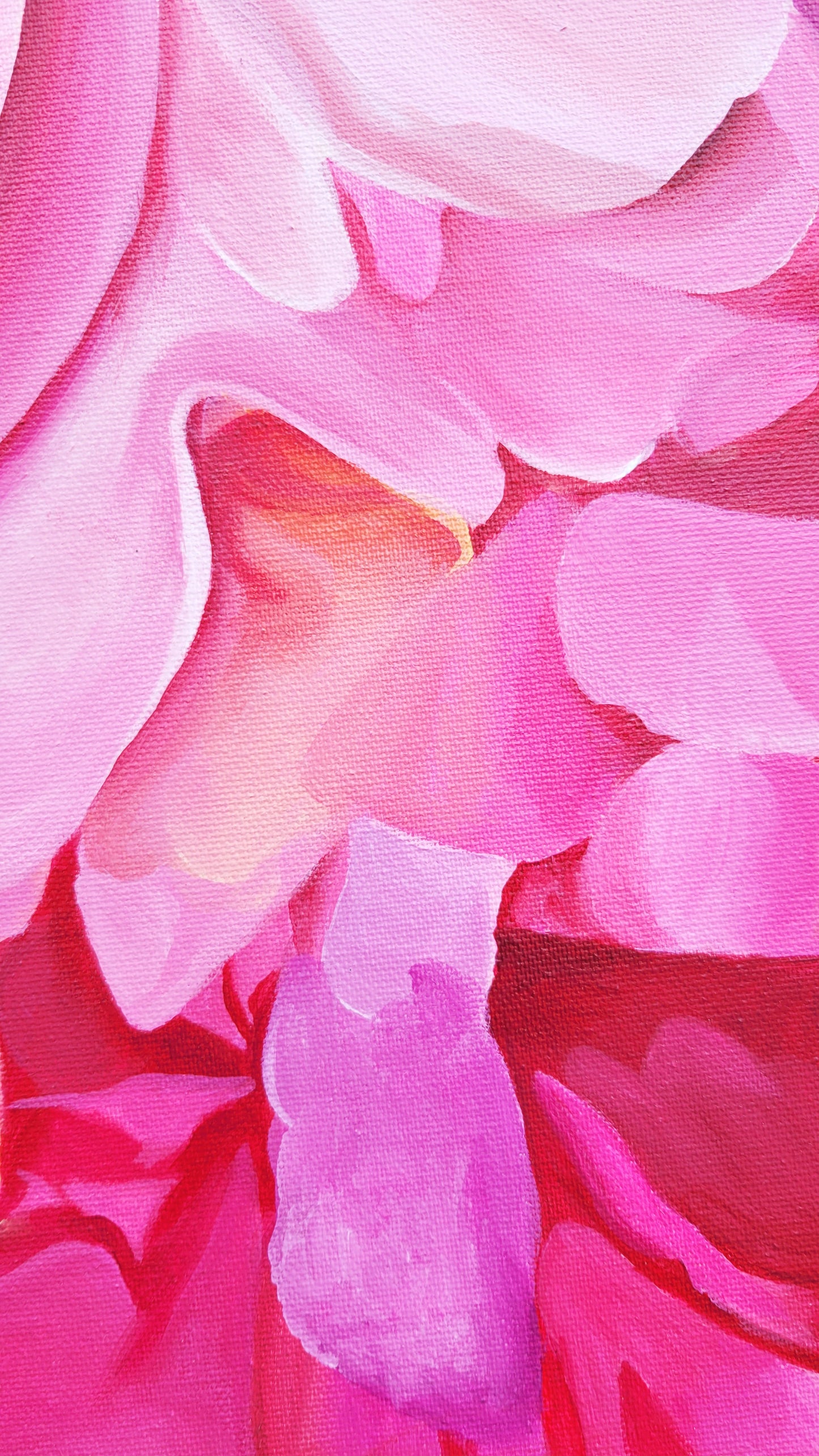 Climbing rose abundance, 80x120 cm