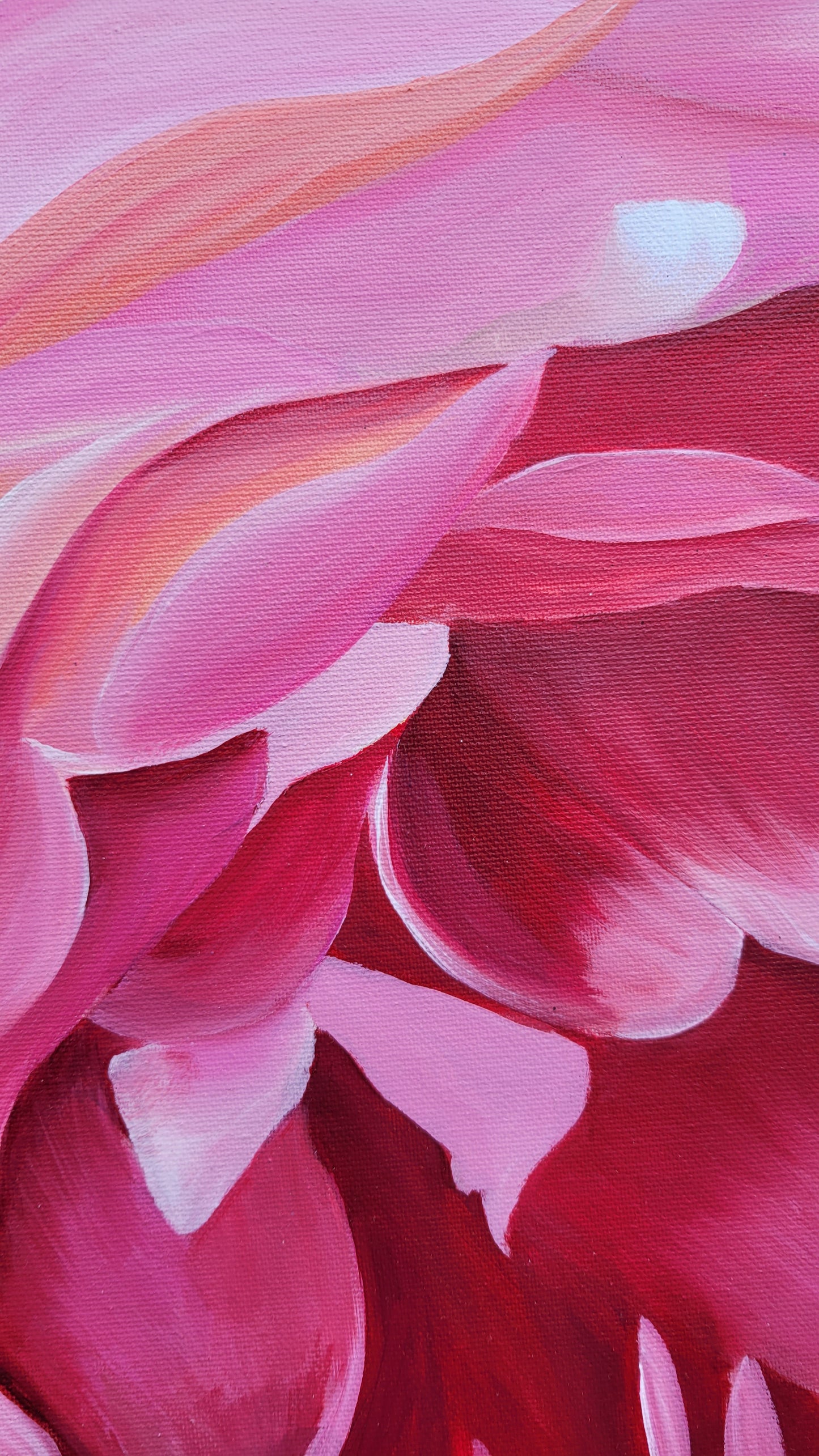 Climbing rose abundance, 80x120 cm