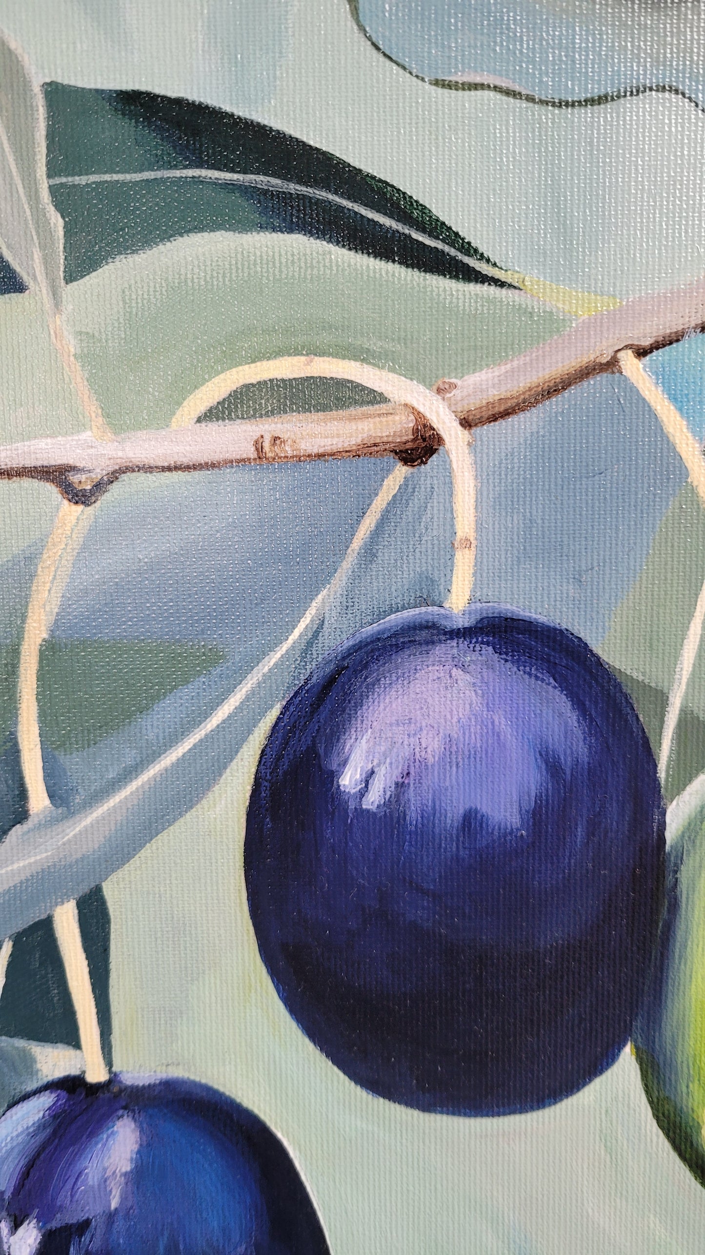 Kalamata olives, 50x50 cm