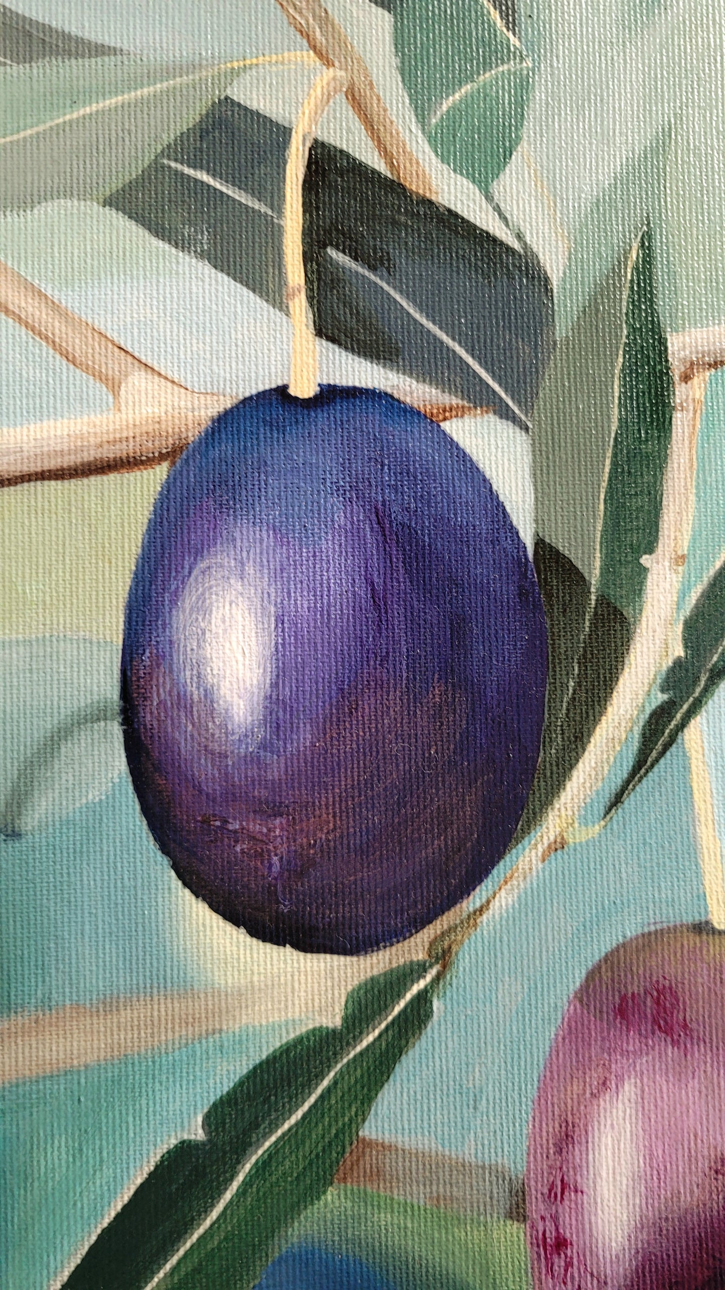 Kalamata olives, 50x50 cm