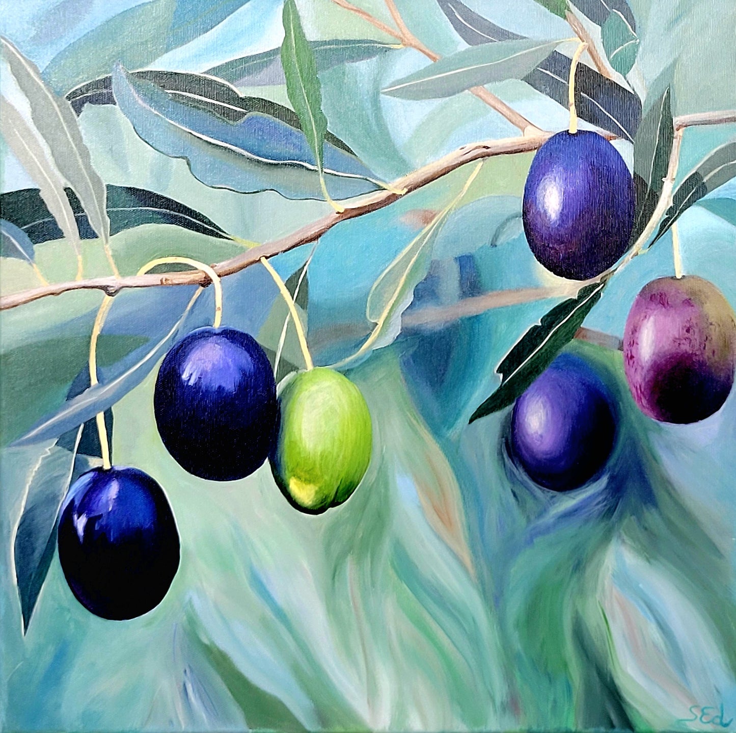 Kalamata olives, 50x50 cm