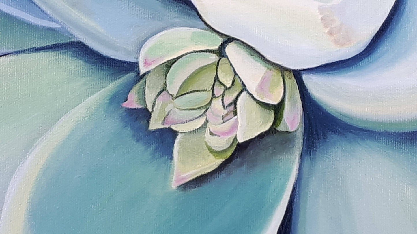 Succulent greengrey, 50x50 cm Kunst & Unterhaltung sylviaeder.art