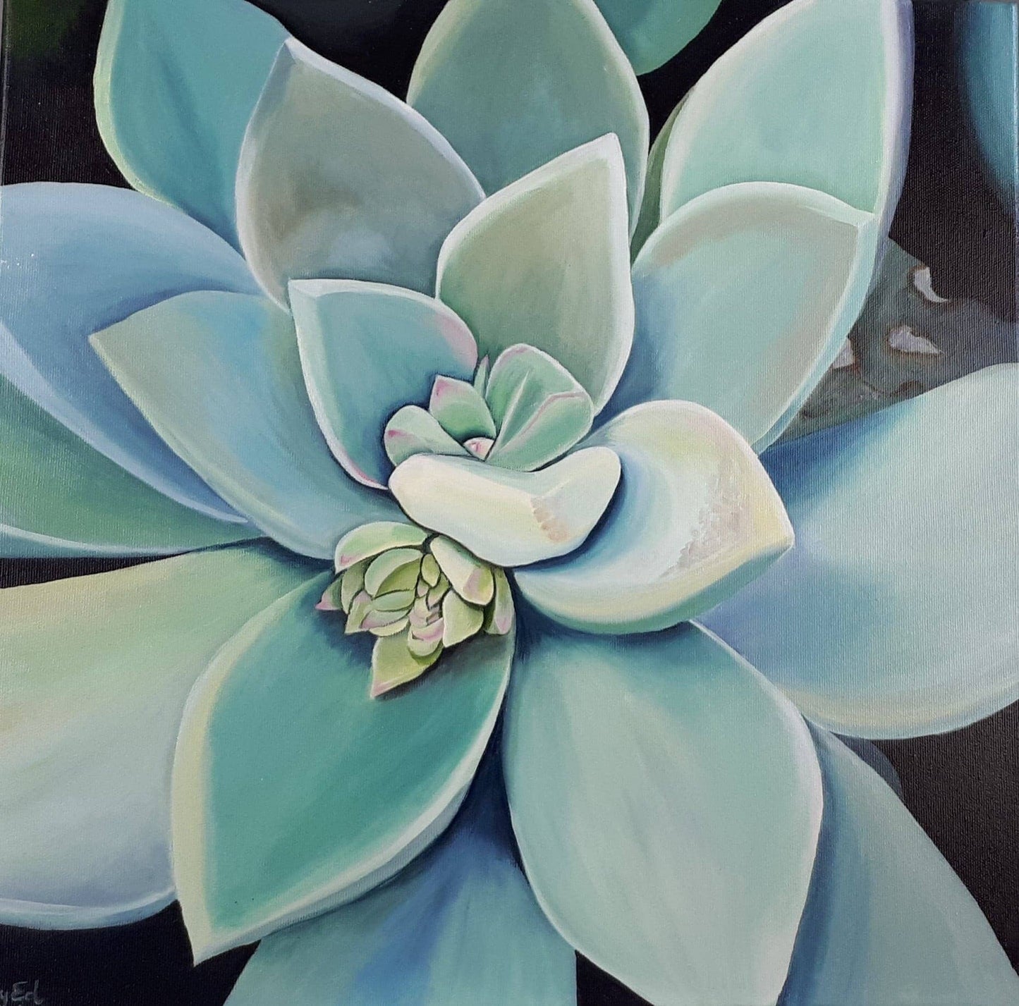 Succulent greengrey, 50x50 cm Kunst & Unterhaltung sylviaeder.art