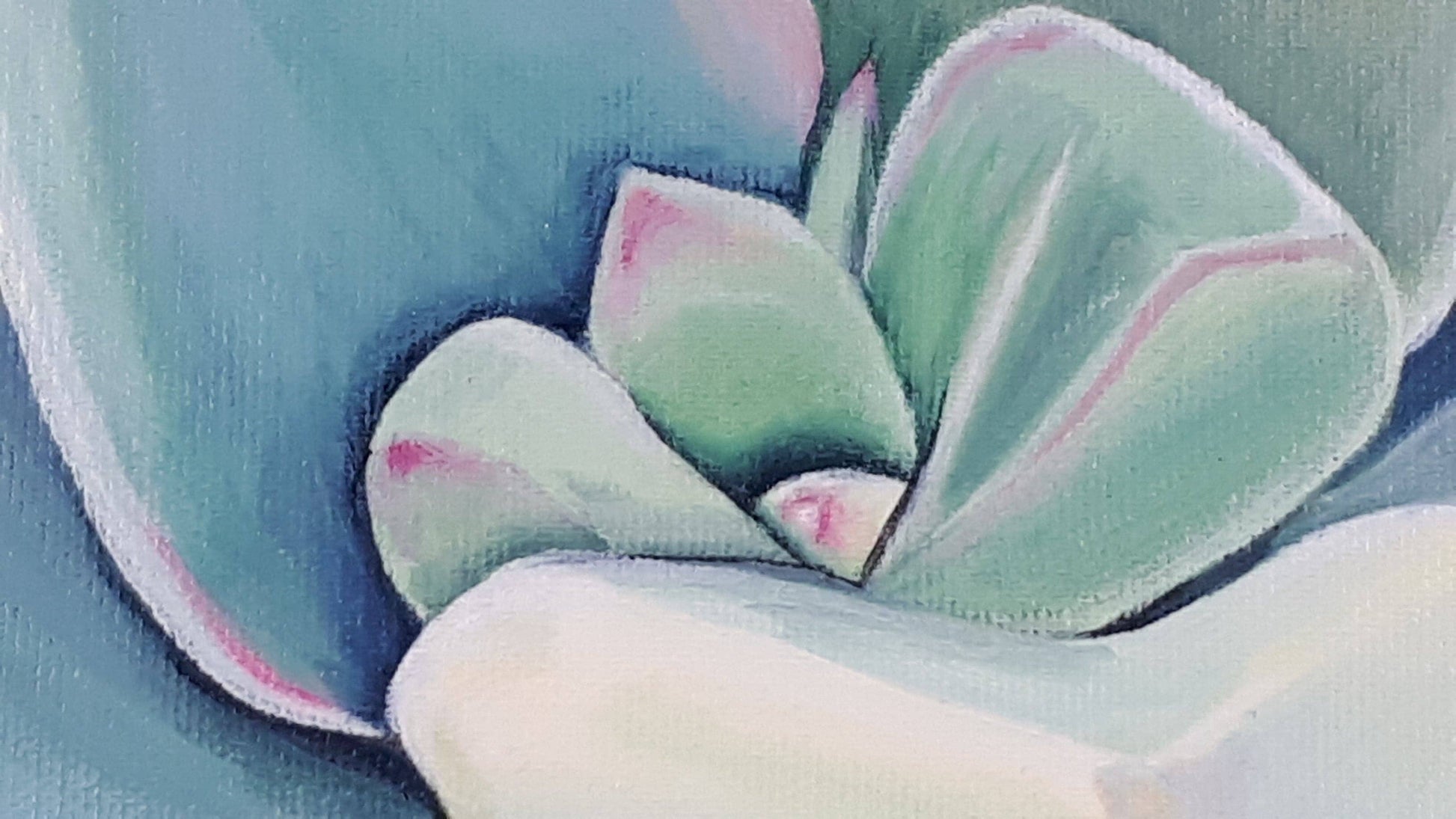 Succulent greengrey, 50x50 cm Kunst & Unterhaltung sylviaeder.art